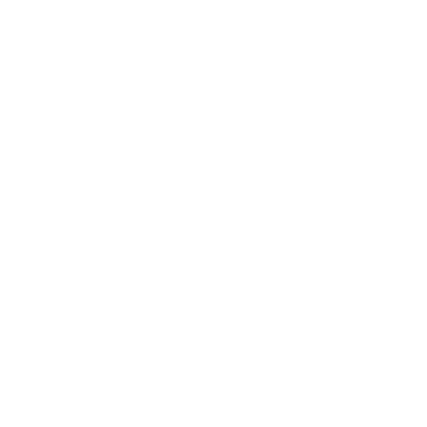 Ajuntament de Manlleu