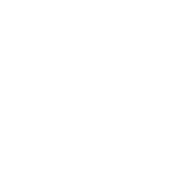 Embarcador del Ter de Manlleu